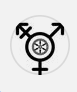 queerrefugees